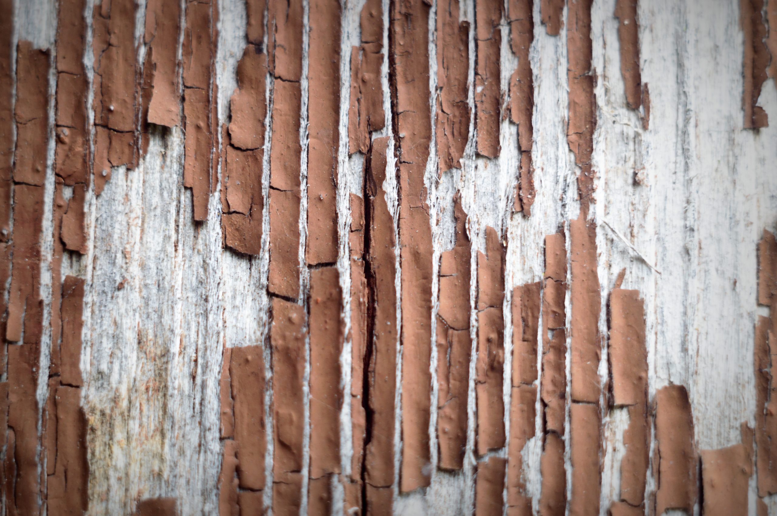 Solid color deck stain cracks and peels